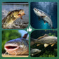 🎣🌊 Högflytande flytkrok – Håller sig på perfekt djup, ljus färg lockar fler hugg. Vass högkolehaltigt stål. En spelförändrare för sportfiskare! 🐟✨