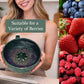 🍓 50 % RABATT JUST NU!🔥 Bärvirvel skölj- och serveringsskål med dubbelfungerande durkslagsdesign, halksäker botten – perfekt för sköljning, avrinning och servering av bär eller snacks 🥣