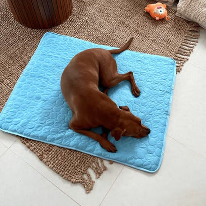 ⏳🔥ENDAST UNDER EN BEGRÄNSAD TID: 50 % RABATT! 🐶 Kylmatta för hundar – 4 gånger effektivare kylning för varma sommardagar ❄️✨