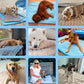 ⏳🔥ENDAST UNDER EN BEGRÄNSAD TID: 50 % RABATT! 🐶 Kylmatta för hundar – 4 gånger effektivare kylning för varma sommardagar ❄️✨