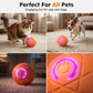 ✨ Elektrisk aktiveringsboll för hund & katt – interaktiv, tålig och perfekt för lek hemma 🐾
